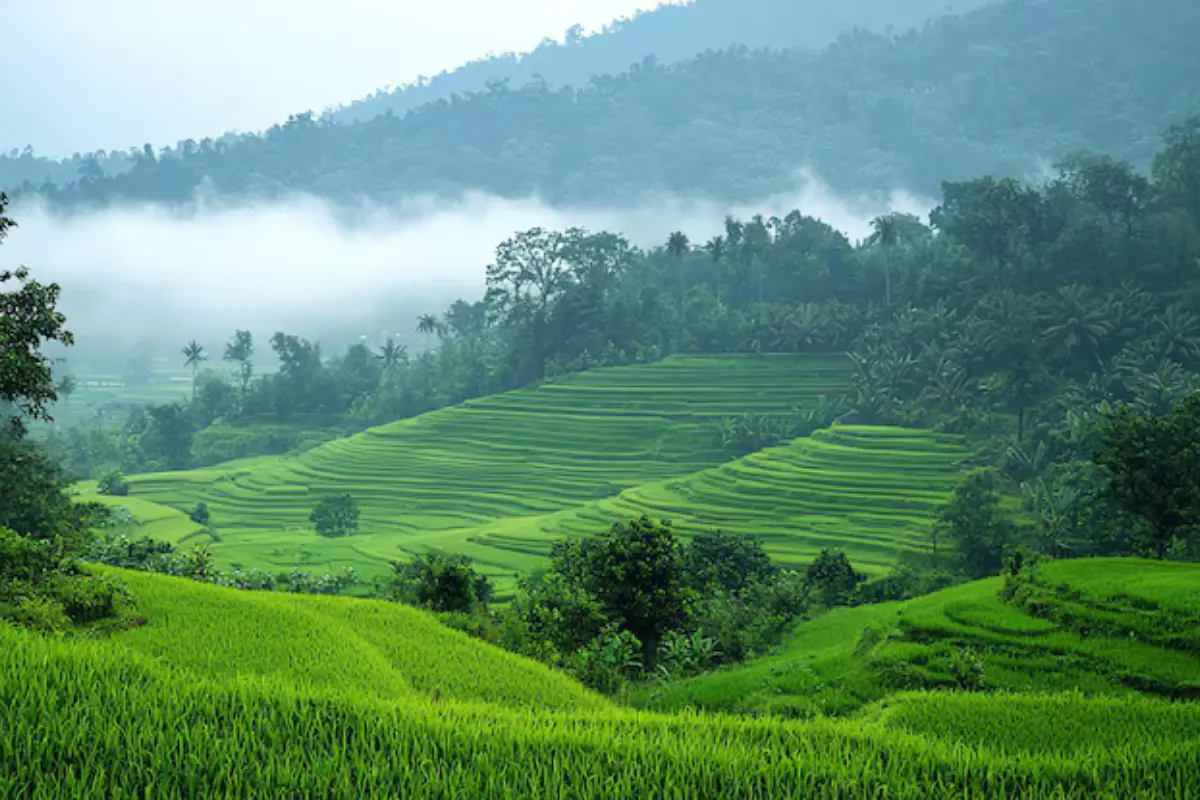 Travel inspiration for Assam
