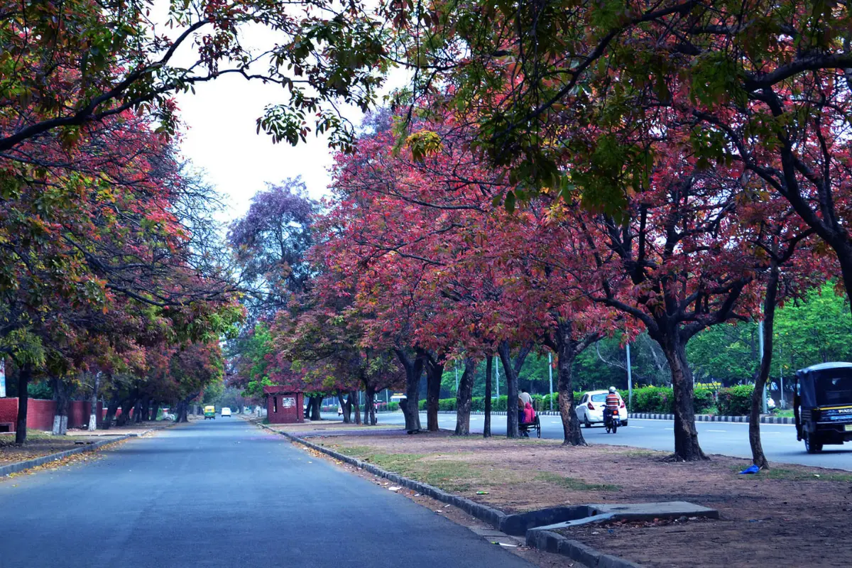 Travel inspiration for Chandigarh