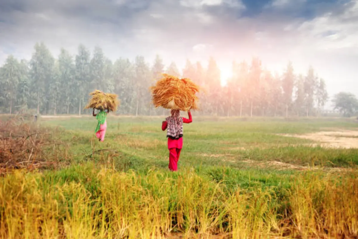 Travel inspiration for Haryana